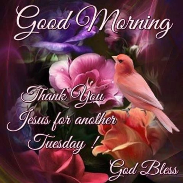 10 Greetings For Tuesday Mornings - picture 10