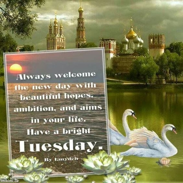 10 Greetings For Tuesday Mornings - picture 4