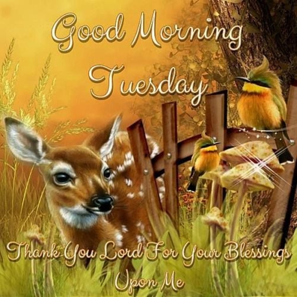 10 Greetings For Tuesday Mornings - picture 6