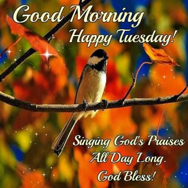 10 Greetings For Tuesday Mornings - picture 9