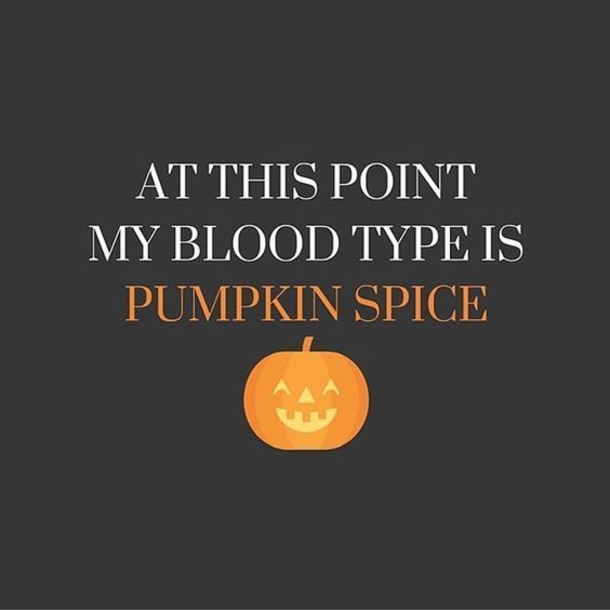 10 Halloween Humor Quotes & Images - picture 4