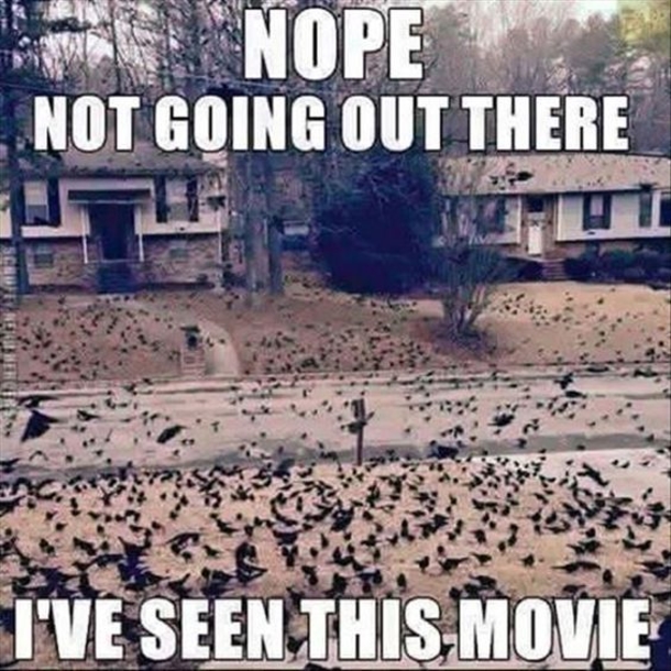 10 Halloween Humor Quotes & Images - picture 9