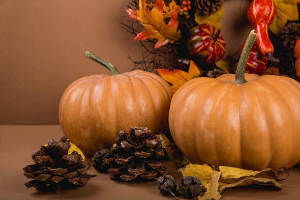 10 Halloween Themed Wallpapers And Backgrounds - picture 11