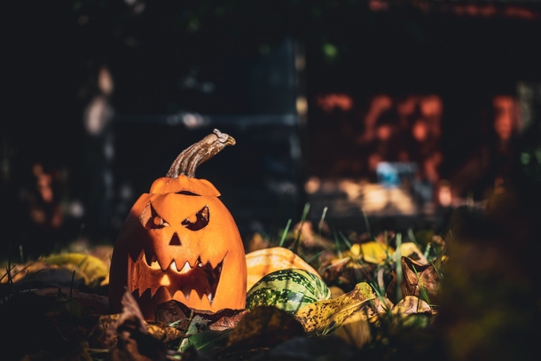 10 Halloween Themed Wallpapers And Backgrounds - picture 7
