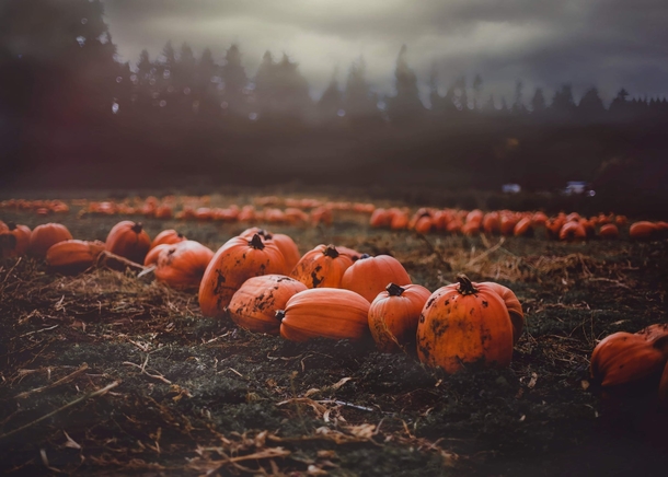10 Halloween Themed Wallpapers And Backgrounds - picture 8