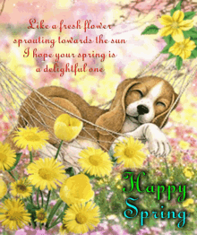 10 Happiest First Day Of Spring Gifs In 2023 - picture 10