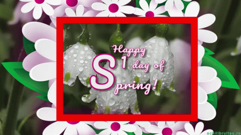 10 Happiest First Day Of Spring Gifs In 2023 - picture 8