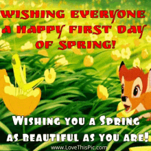 10 Happiest First Day Of Spring Gifs In 2023 - picture 9