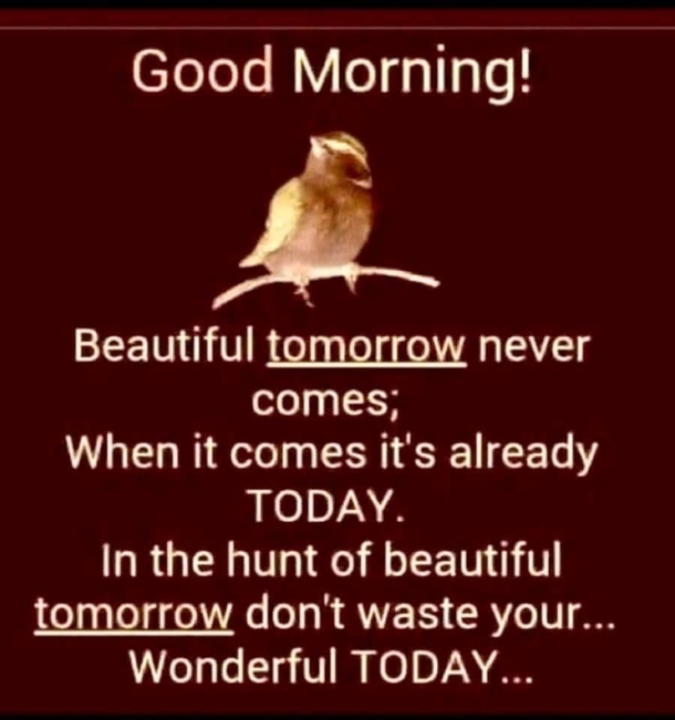 10+ Happiness Filled Good Morning Quotes For An Inspiring Day - picture 12