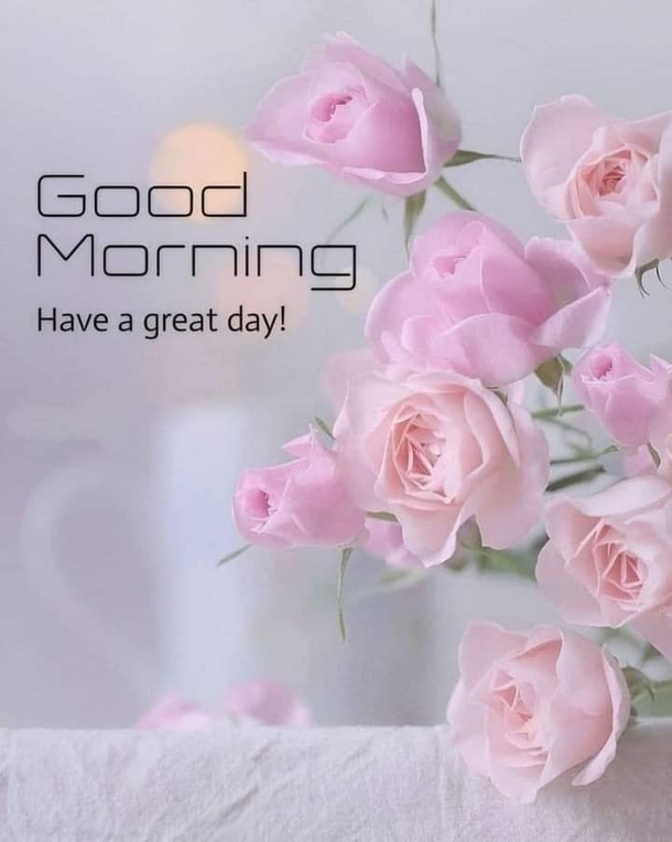 10+ Happiness Filled Good Morning Quotes For An Inspiring Day - picture 2