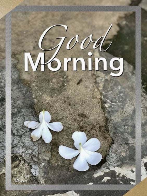 10+ Happiness Filled Good Morning Quotes For An Inspiring Day - picture 7
