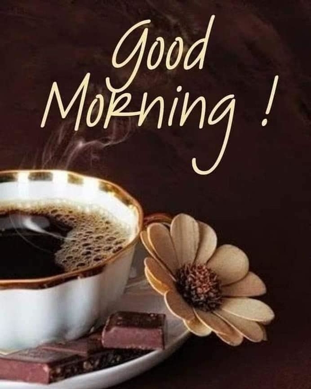 10+ Happiness Filled Good Morning Quotes For An Inspiring Day - picture 9