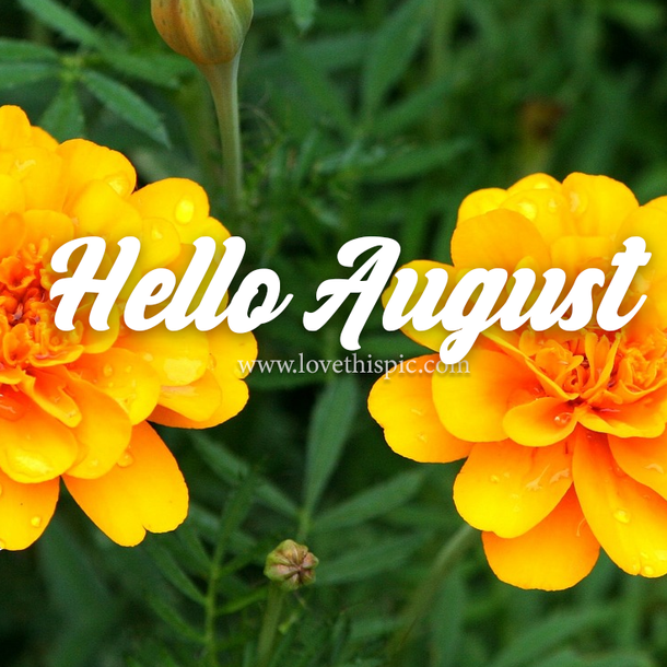 10 Happy August 2022 Quotes, Sayings And Greetings - picture 10
