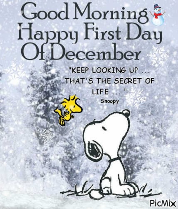 10 Happy December Quotes And Gifs - picture 4