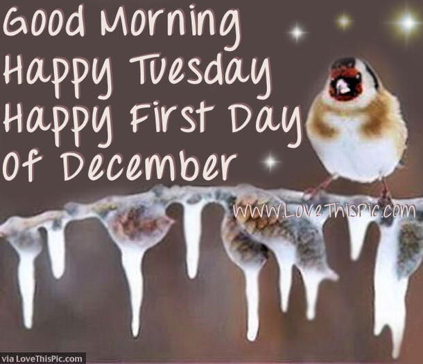 10 Happy First Day Of December Quotes - picture 7