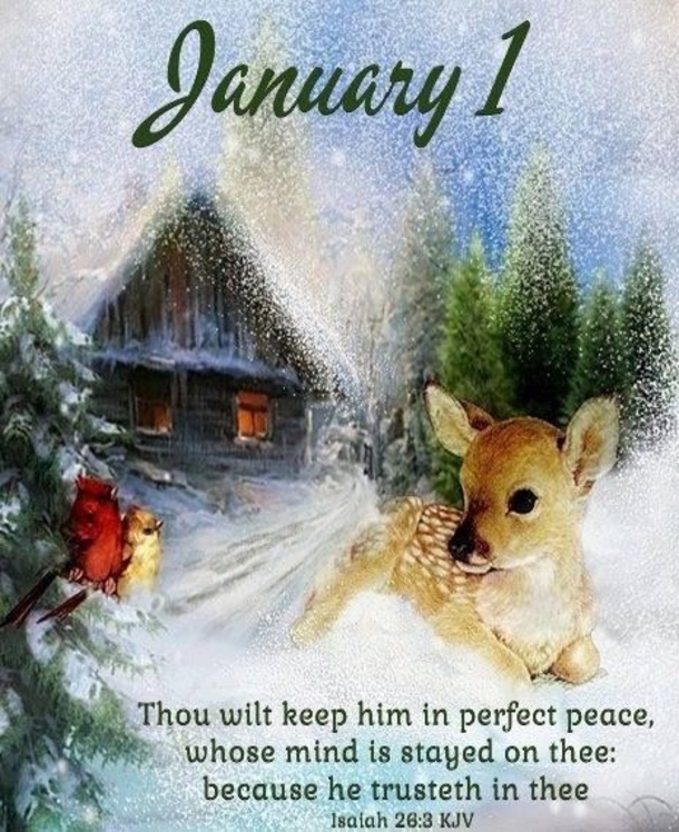 10 Happy First Day Of January Quotes To Bring In The New Year Of 2023 - picture 5
