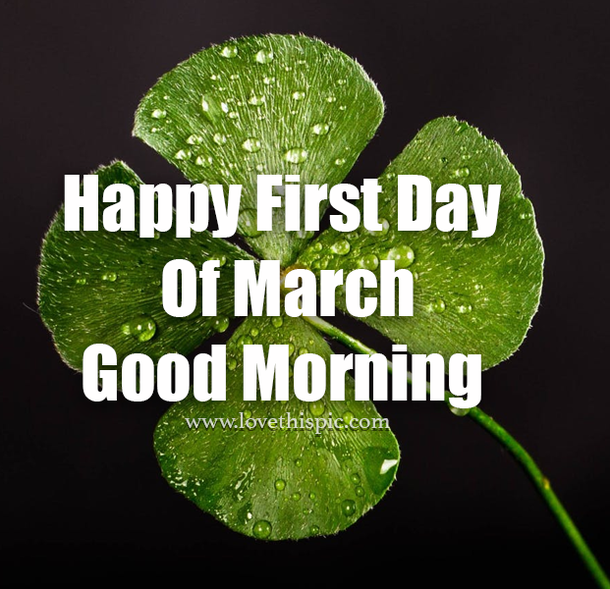 10 Happy First Day Of March Greetings, Gifs And Quotes - picture 3