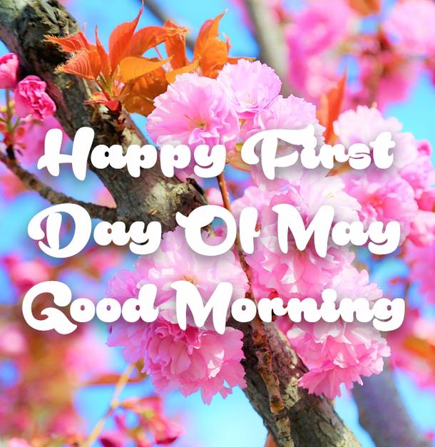 10 Happy First Day Of May Quotes To Start The Beautiful Month - picture 10