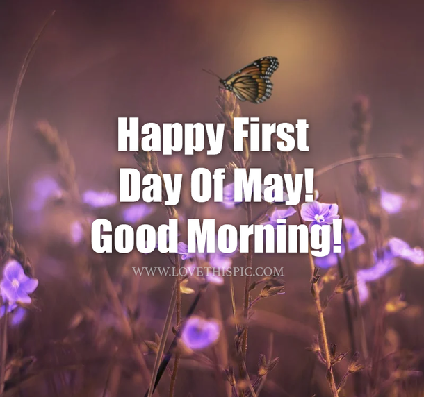10 Happy First Day Of May Quotes To Start The Beautiful Month - picture 12