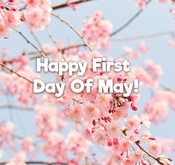 10 Happy First Day Of May Quotes To Start The Beautiful Month - picture 5