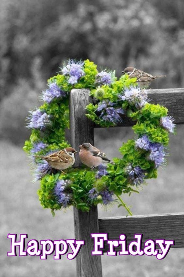 10+ Happy Friday Pictures With Quotes For A Beautiful Friday - picture 12