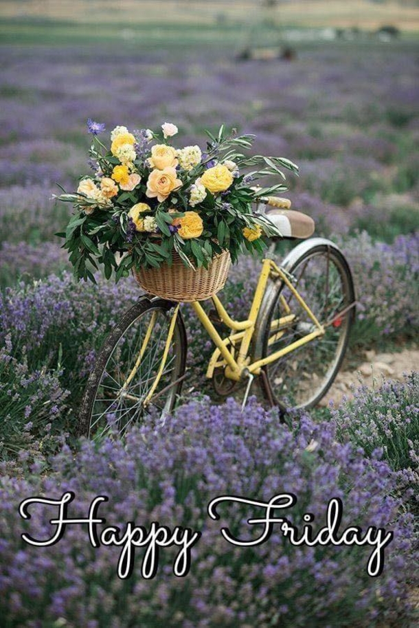10+ Happy Friday Pictures With Quotes For A Beautiful Friday - picture 3