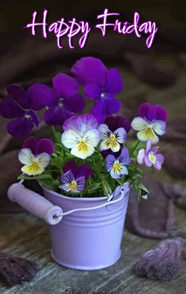 10+ Happy Friday Pictures With Quotes For A Beautiful Friday - picture 5