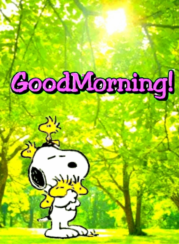 10 Happy Good Morning Images With Quotes - picture 7