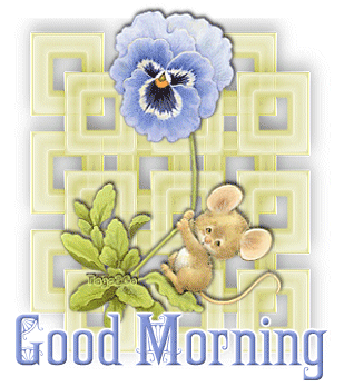 10 Happy Good Morning Quotes And Animated Images - picture 13