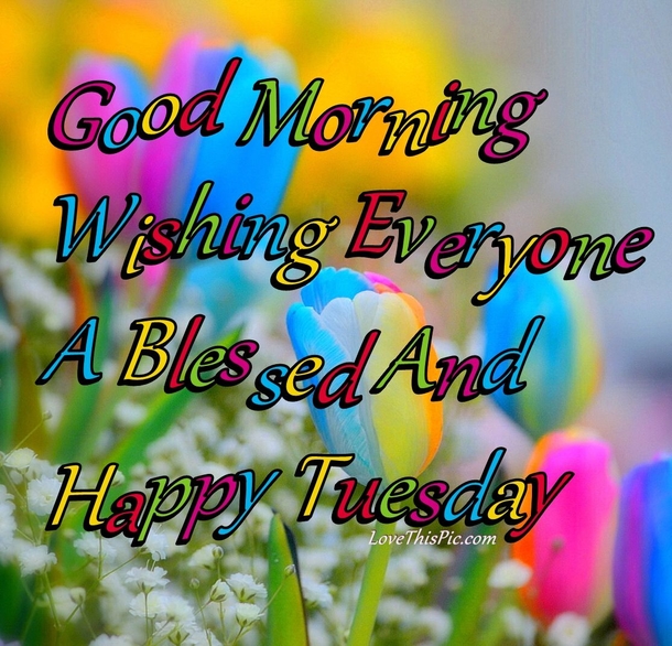 10 Happy Good Morning Tuesday Quotes - picture 11