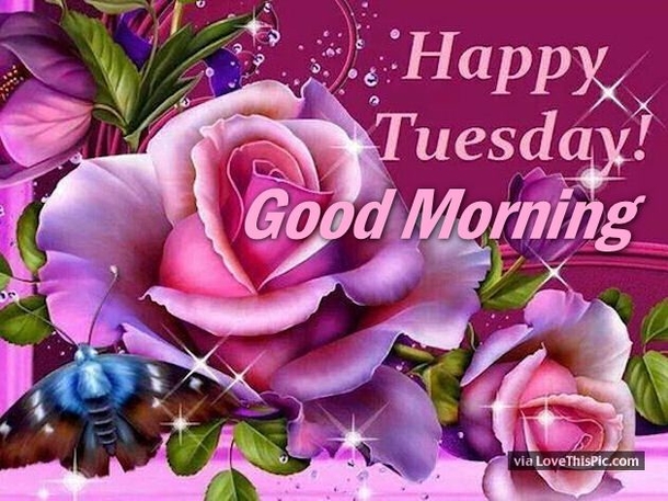 10 Happy Good Morning Tuesday Quotes - picture 2