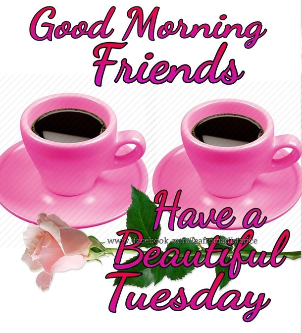 10 Happy Good Morning Tuesday Quotes - picture 4