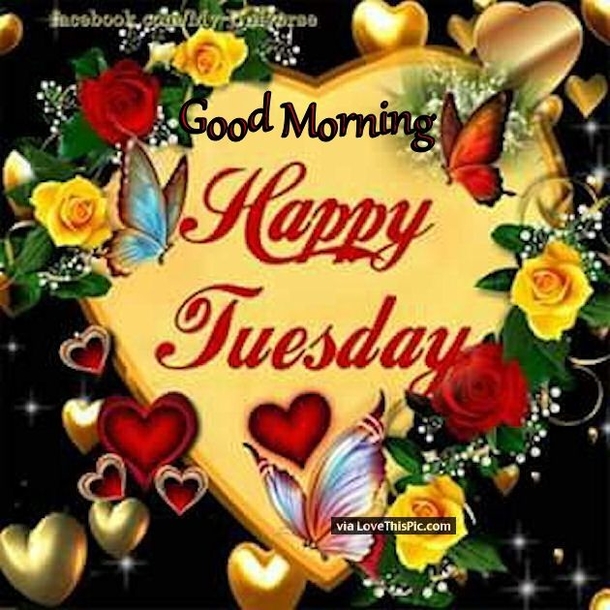 10 Happy Good Morning Tuesday Quotes - picture 6