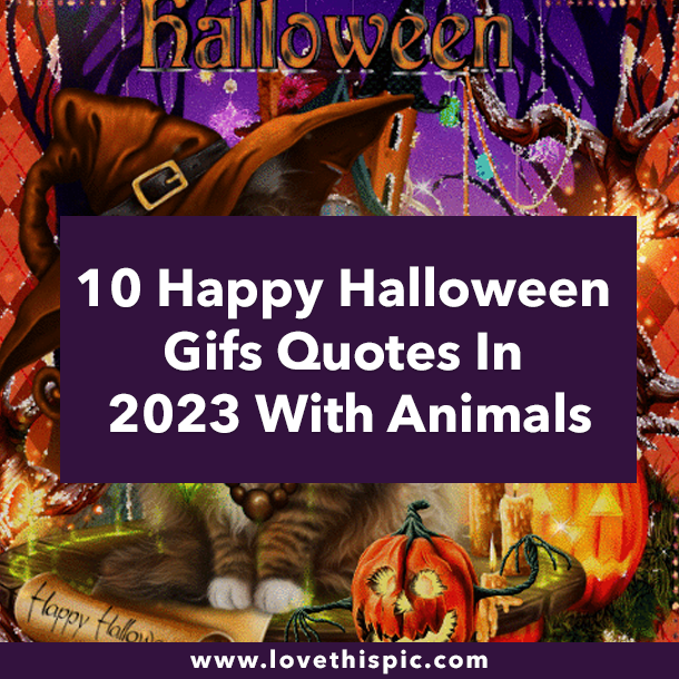 10 Happy Halloween Gifs Quotes In 2023 With Animals