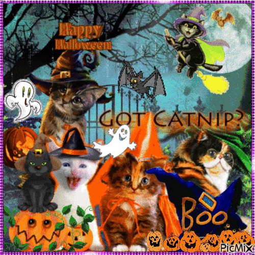 10 Happy Halloween Gifs Quotes In 2023 With Animals - picture 11