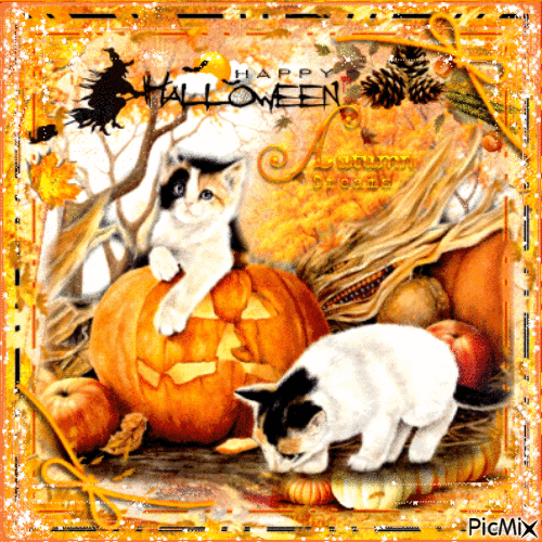 10 Happy Halloween Gifs Quotes In 2023 With Animals - picture 5