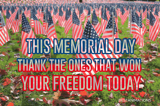 10 Happy Memorial Day Gifs In Honor Of Those Who Served - picture 4