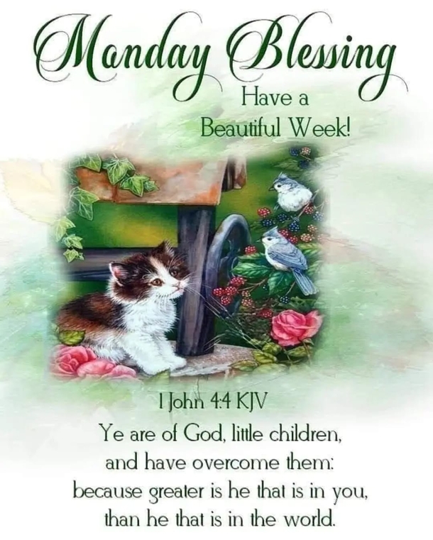 10 Happy Monday Messages, Quotes And Greetings To Have A Blessed New Week - picture 7