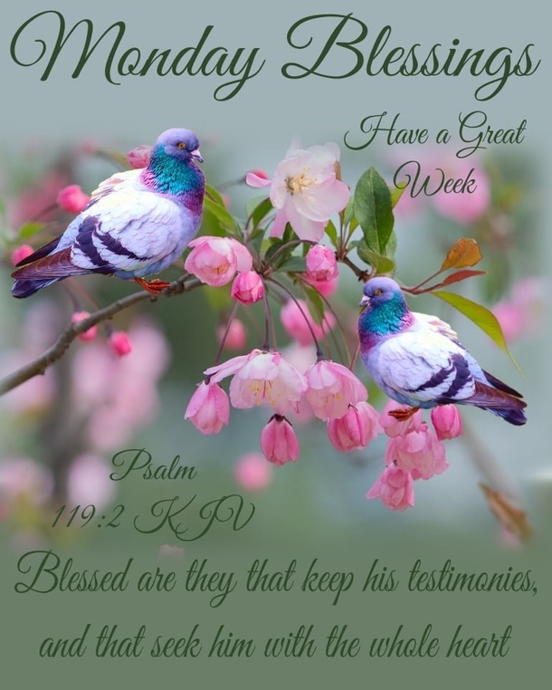 10 Happy Monday Messages To Start Your Week In A Blessed Way - picture 10