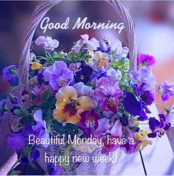 10 Happy Monday Quotes With Beautiful Messages - picture 6