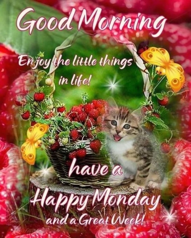 10 Happy Monday & Good Morning Monday Quotes - picture 2