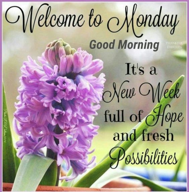 10 Happy Monday & Good Morning Monday Quotes - picture 4