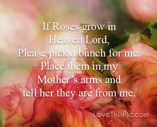 10 Happy Mother's Day In Heaven Quotes In 2023 - picture 9