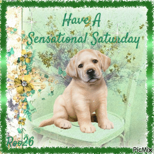 10 Happy Saturday Gifs To Make You Feel Warm, Loved And Happy - picture 3