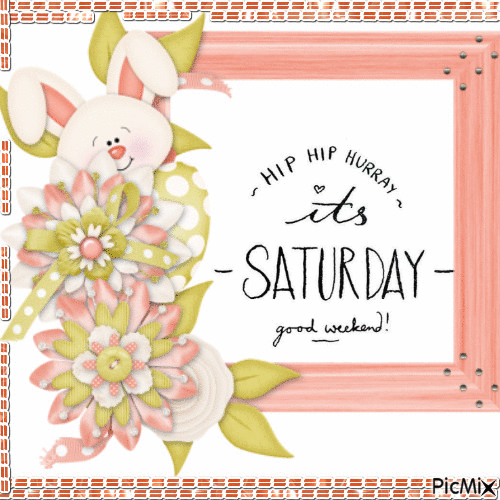 10 Happy Saturday Gifs To Make You Feel Warm, Loved And Happy - picture 4