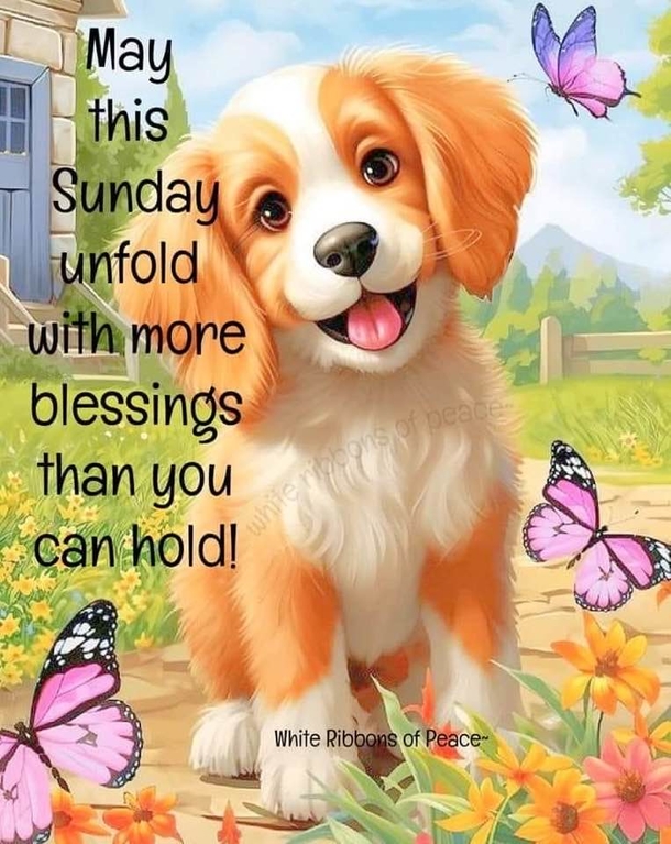 10 Happy Sunday 2024 Quotes, Wishes And Messages - picture 7