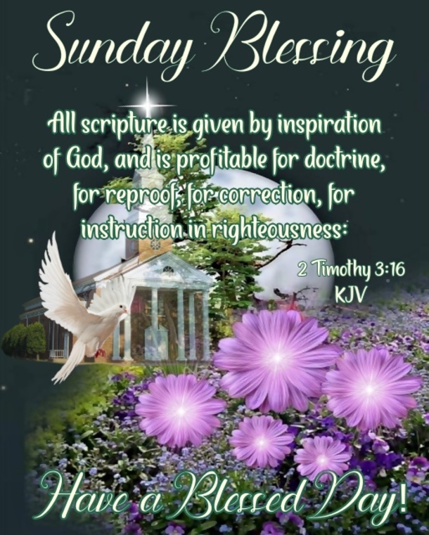 10 Happy Sunday Blessings To Uplift Your Day - picture 2