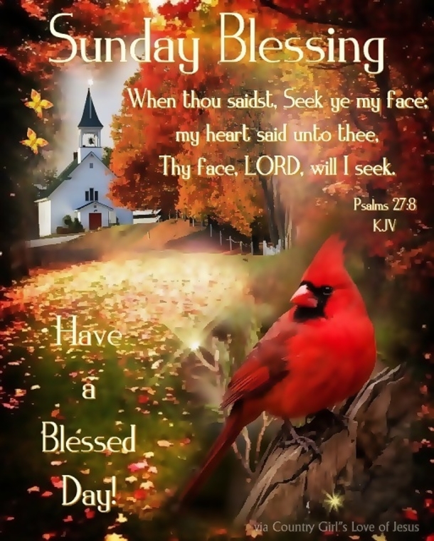 10 Happy Sunday Blessings To Uplift Your Day - picture 8