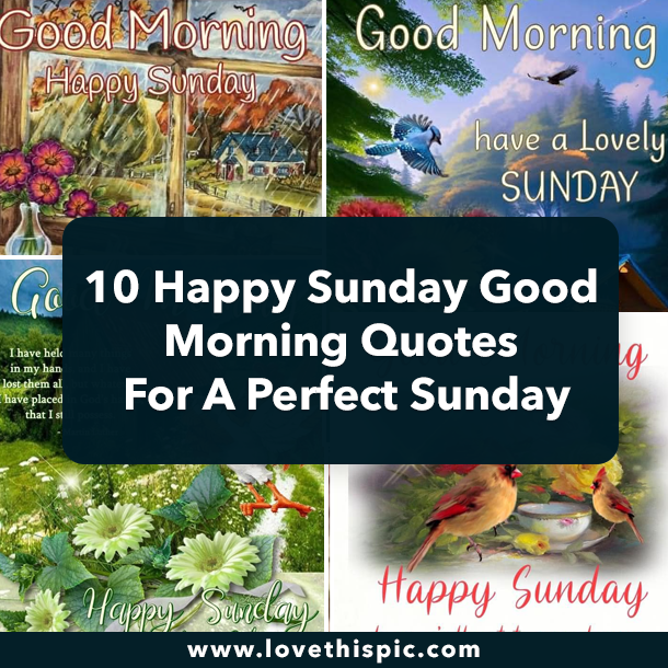 10 Happy Sunday Good Morning Quotes For A Beautiful Sunday