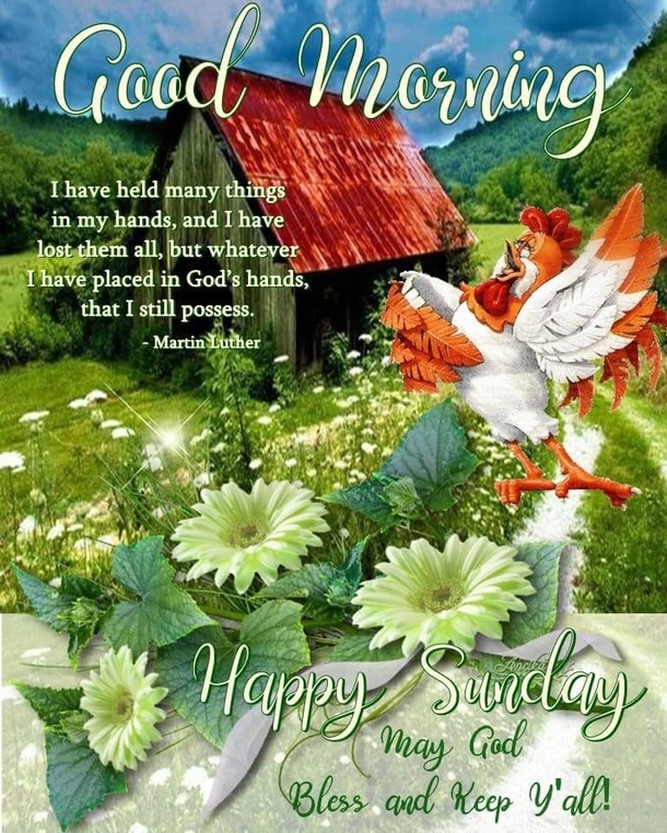 10 Happy Sunday Good Morning Quotes For A Beautiful Sunday - picture 2